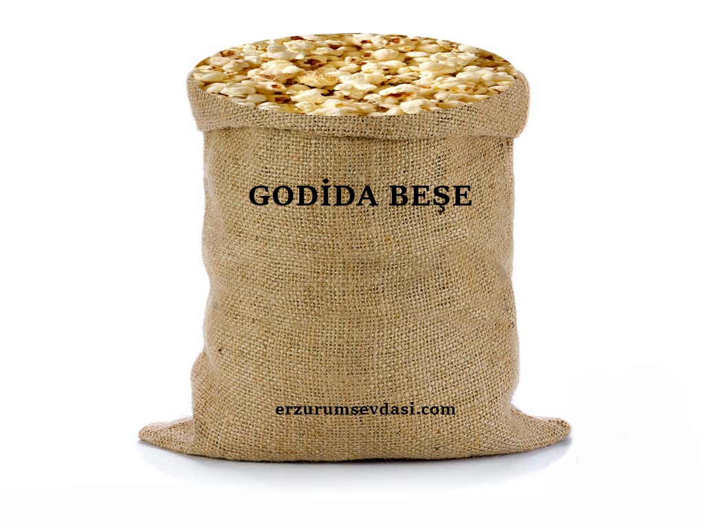 GODİDA BEŞE GODİDA BEŞE