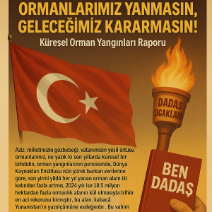 KÜRESEL ORMAN YANGIN RAPORU